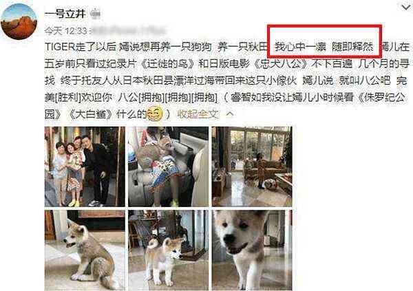 李亚鹏将李嫣送到这个地方，只因当年王菲的一句话