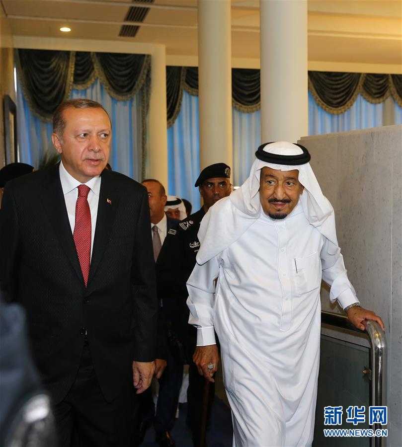 土耳其总统访问沙特 斡旋卡塔尔断交危机