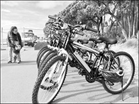 共享单车亮相新西兰_fororder_创新首页图2