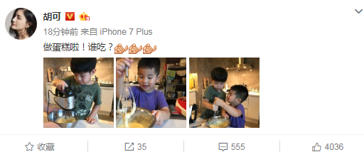 ʵޣɹƬСʾ