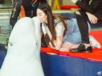 组图：三生三世路演 刘亦菲亲到白鲸杨洋单膝下跪