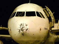 土耳其遭冰雹袭击 一航班受损迫降