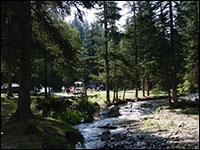 守住绿水青山 共享绿色福祉_fororder_CqgNOll5VMuANZNEAAAAAAAAAAA052.200x150