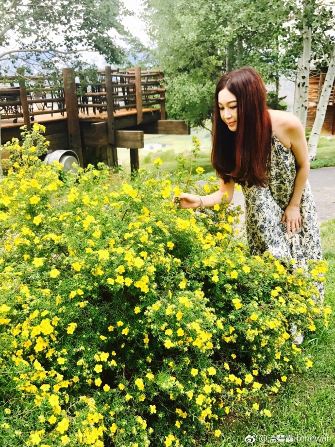 温碧霞低头闻花香 标签