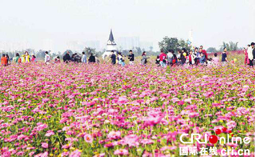 图片默认标题_fororder_成都龙泉驿GDP同比