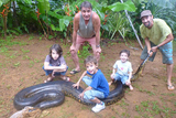 英国《每日邮报》9月18日刊发的照片显示，圭亚那一名教师发现了一条17英寸的蟒蛇，并将其头部罩住从河中打捞到岸上，在此之前，这条蟒蛇吞下了一条狗。图为这名教师和朋友一起与蟒蛇合影