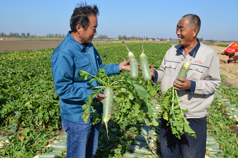 2020年“镜头中的脱贫故事”网络直播走进山东平度