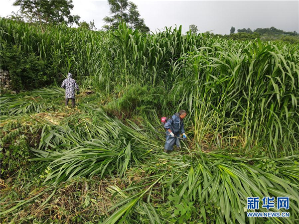 向“數”借力 “土地”出力  貴州通過結構調整加快經濟恢復觀察