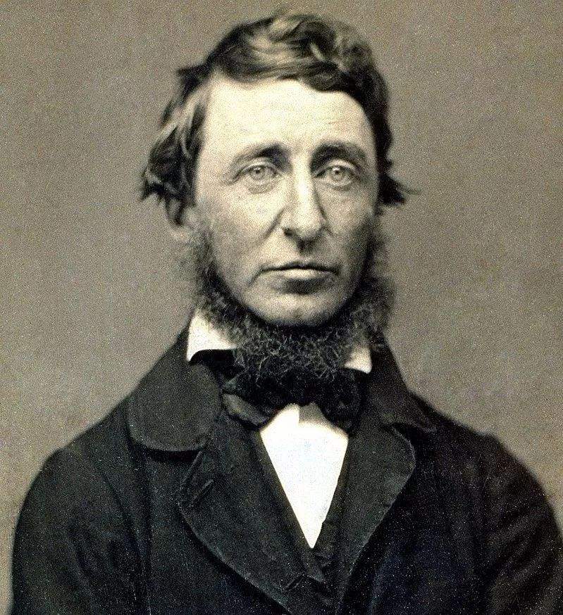 这些传记，打开看待名人的多重视角