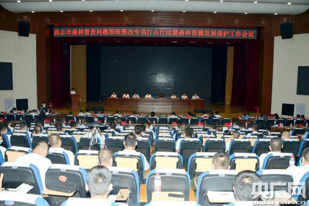 黑龍江省尚志市：保護森林資源 安排部署森林督查問題圖斑整改專項打擊行動