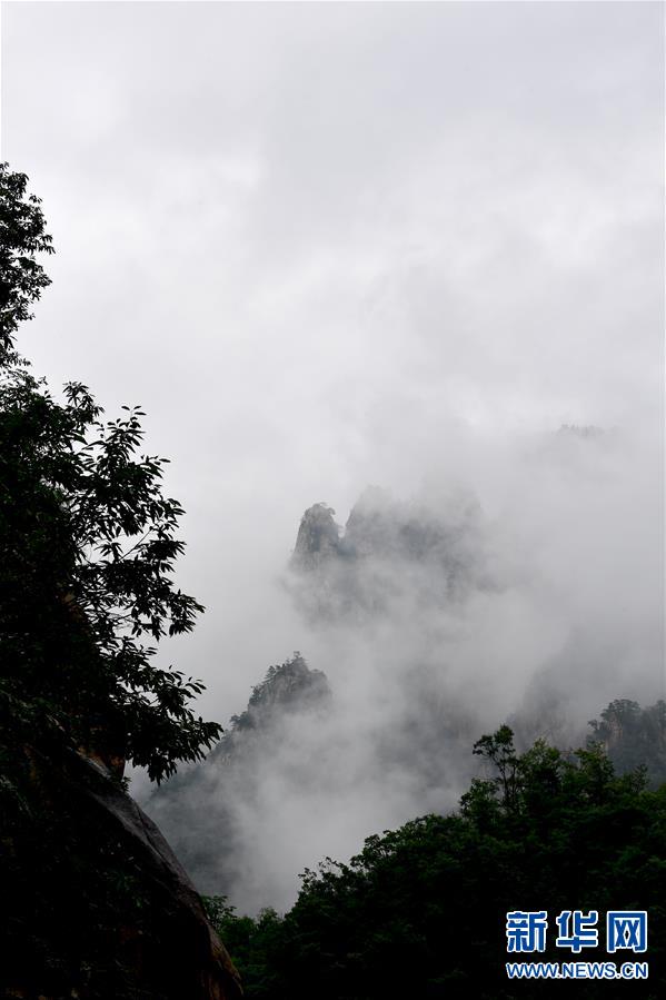 【城市遠洋】河南西峽：雲卷雲舒老界嶺