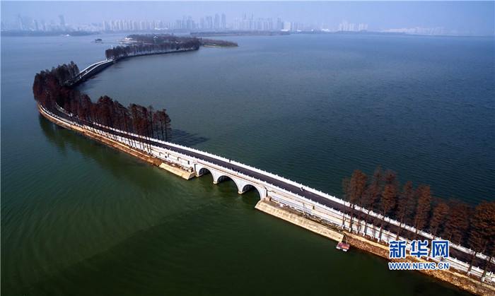 图片默认标题_fororder_wuhan-46