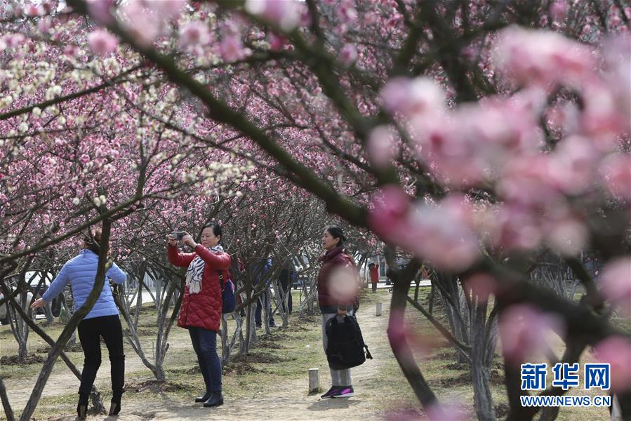 全域：春暖花开迎客来