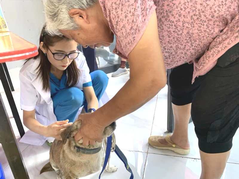 (B 健康圖文 三吳大地南通 移動版)南通開發區公安分局竹行派出所聯合社區開展文明養犬宣傳活動