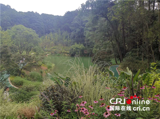 重庆多措并举开展生态修复 筑牢长江上游重要生态屏障_fororder_3