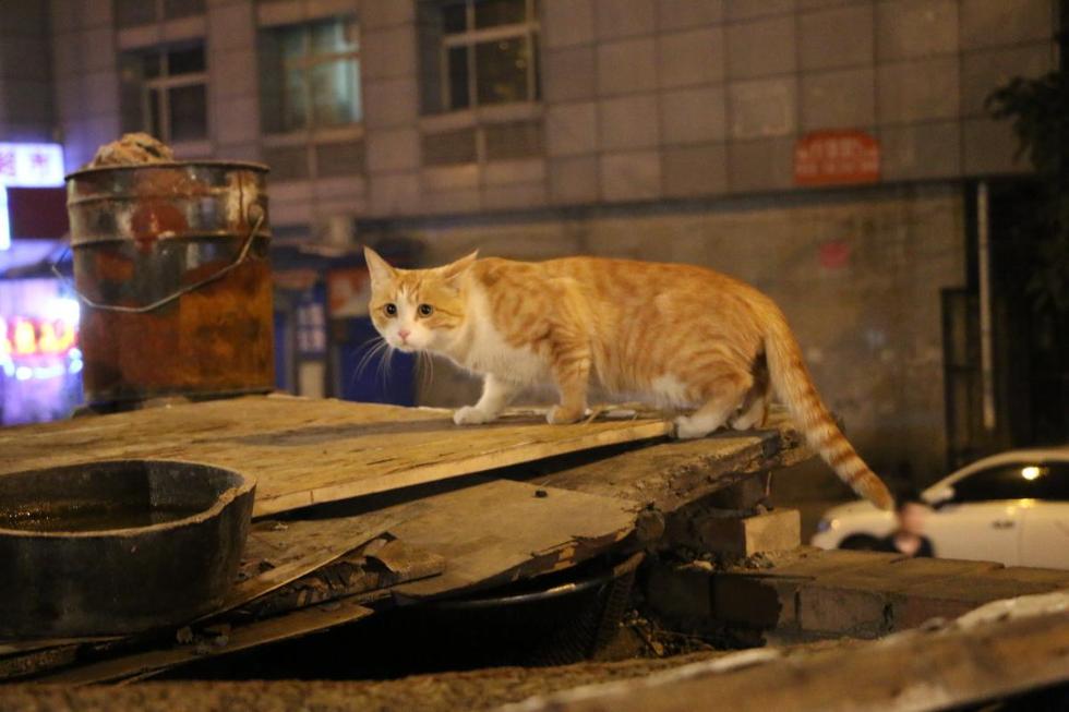 挑战日本《深夜食堂》,中国老汉卖方便面年入百万
