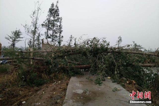 江苏盐城阜宁遭遇龙卷风 村民房屋倒塌成瓦砾