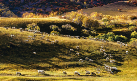 15年，这一理念历久弥新