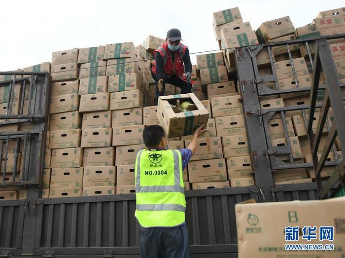 베이징 신발지 시장 재 개장_fororder_新发地-4