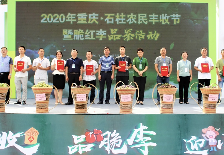 【有修改】【B】2020重庆石柱农民丰收节暨脆红李品鉴活动正式开幕