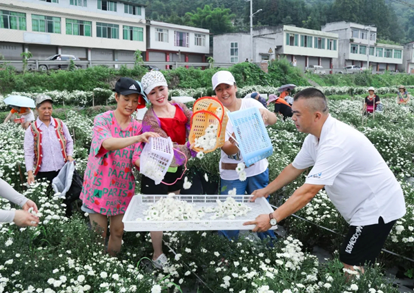 峨眉龙池:创新农村经济发展主体运行体制机制 走"风景 产业"富民新路