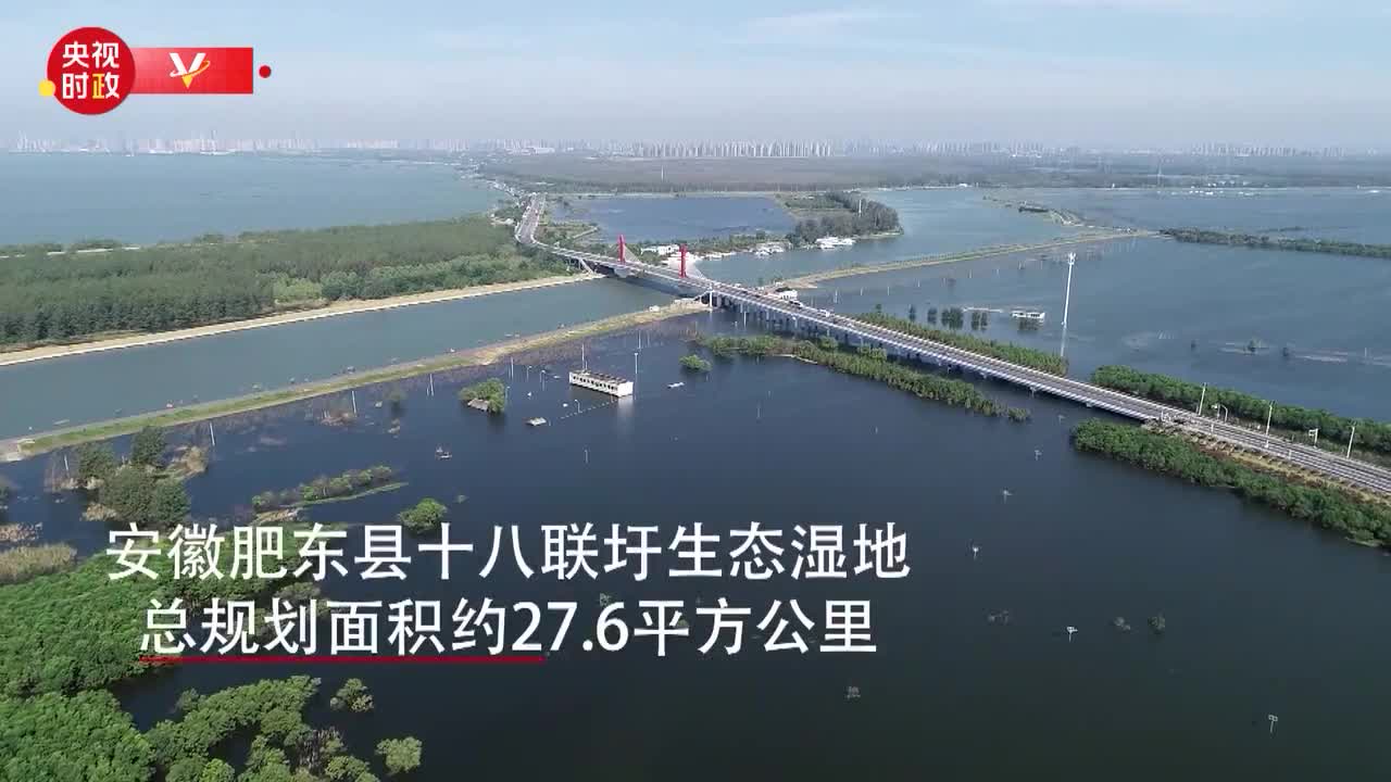 习近平安徽行丨万众一心众志成城走上巢湖大堤考察防汛抗洪
