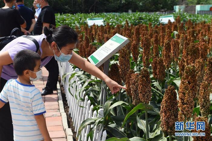 제19회 장춘 농업박람회 개막...스마트 농업이 대세!_fororder_无人机