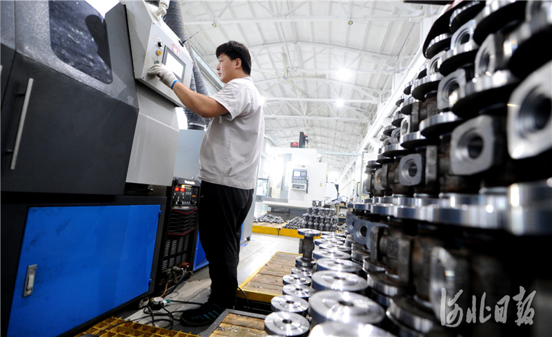 河北隆尧：发展特色产业 助推经济发展