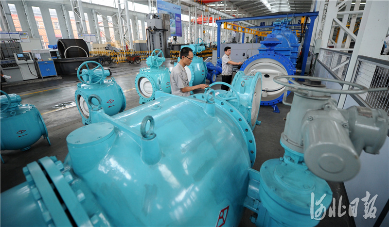 河北隆尧：发展特色产业 助推经济发展