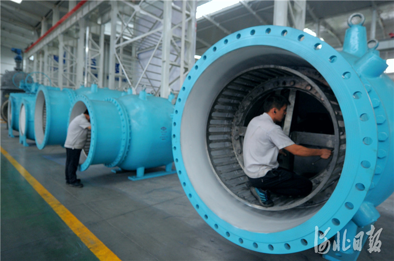 河北隆尧：发展特色产业 助推经济发展