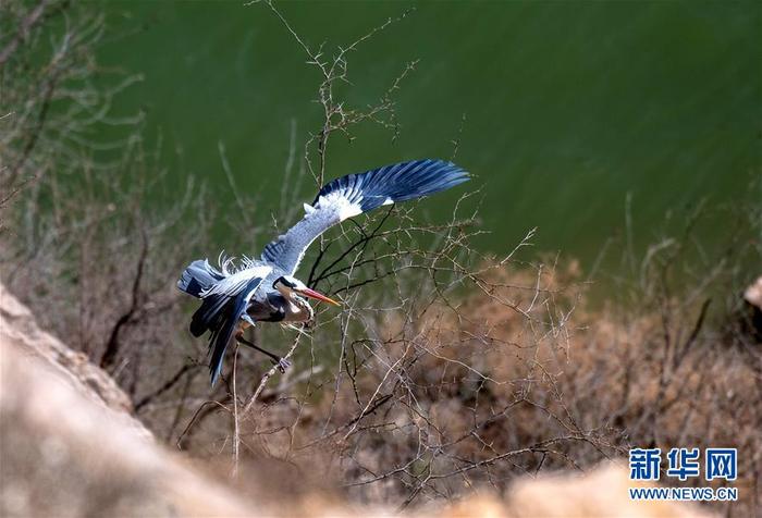 图片默认标题_fororder_1