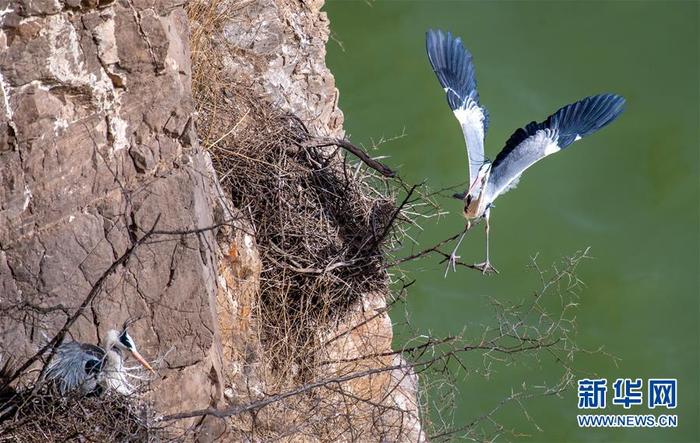 图片默认标题_fororder_2