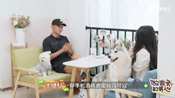 《做家务的男人》第二季张继科相亲现场炫技乒乓
