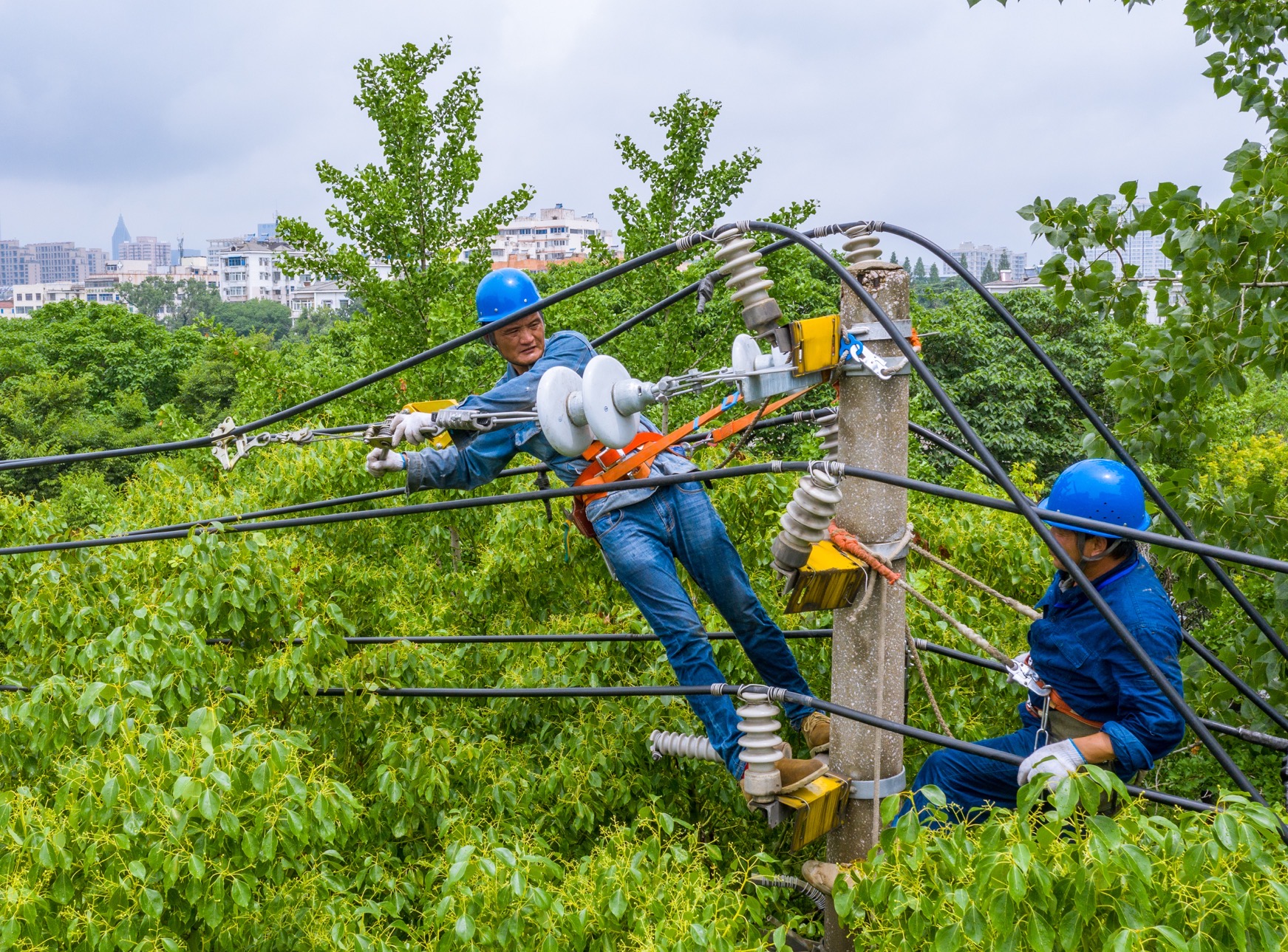 （B 財經圖文 chinanews帶圖列表 移動版）國網南京供電公司16項舉措打造“電力寧滿意”工程