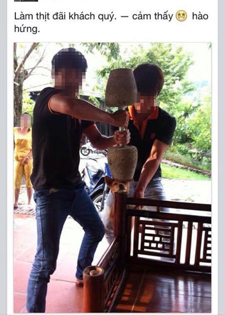 越南青年在Facebook上传虐狗照片引争议(图)