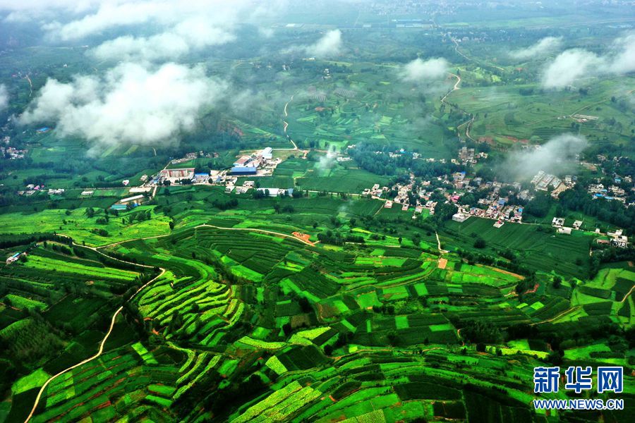 这是8月14日在河南省汝阳县拍摄的乡村美景.