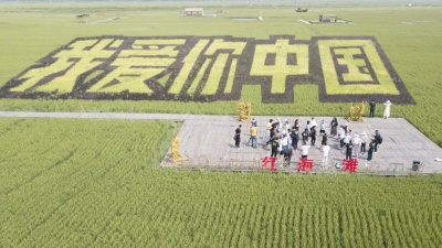 盤錦市文旅廣電局倡導節約糧食制止餐飲浪費