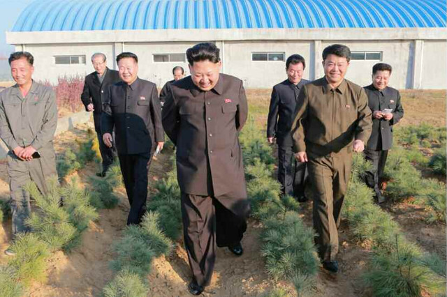 金正恩視察種植園區 多次蹲下腿疾已無大礙