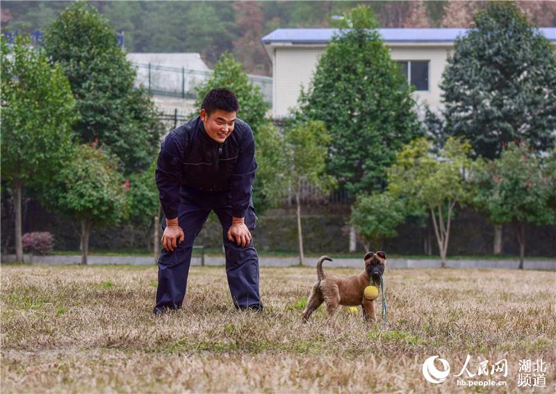 探訪十堰警犬基地 見識警犬“絕活兒”