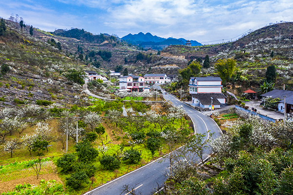 宜宾筠连县春风经验激发乡村振兴新动能