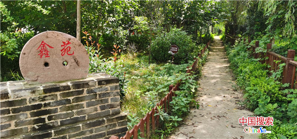 【河南在线】【决胜2020 乡村振兴看河南】小辣椒大产业的柘城探索