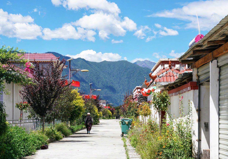 【幸福花开新边疆】林芝市久巴村：草莓铺满致富路