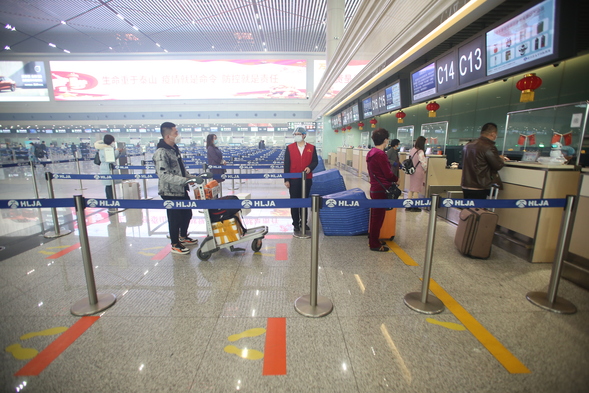 【OK】B【黑龙江】哈尔滨太平国际机场客流稳步回升