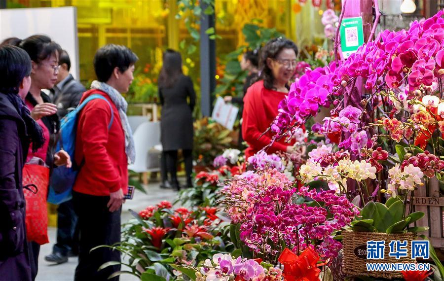 北京：年宵花展迎春節