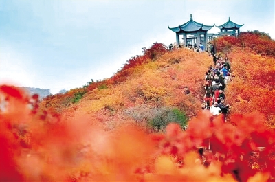 【旅游资讯-文字列表】长寿山单月接待游客破133万人次