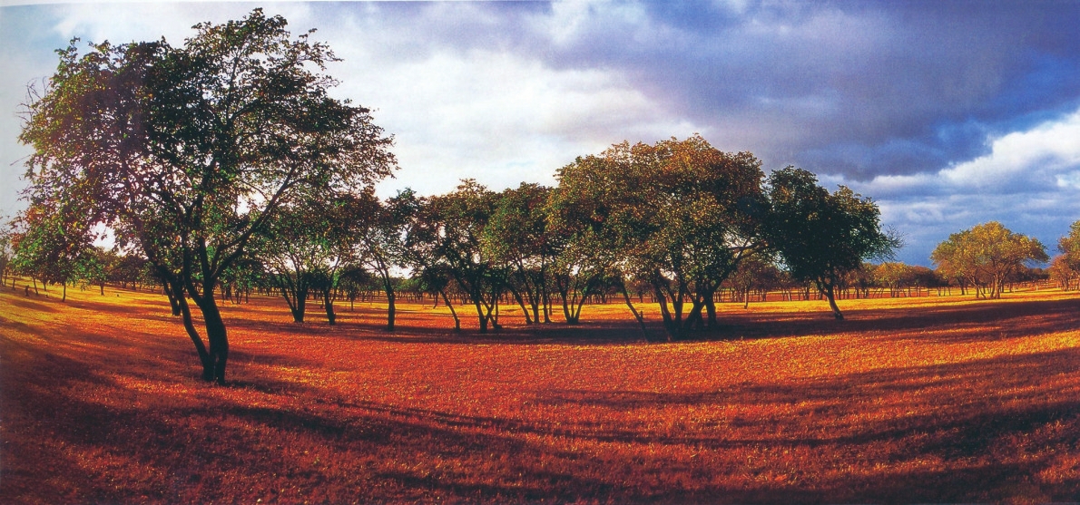 2018年吉林省旅遊業高品質發展回眸 2018年吉林省旅遊業高品質發展回眸