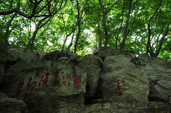 棗莊嶧城冠世榴園：小石榴托起致富夢