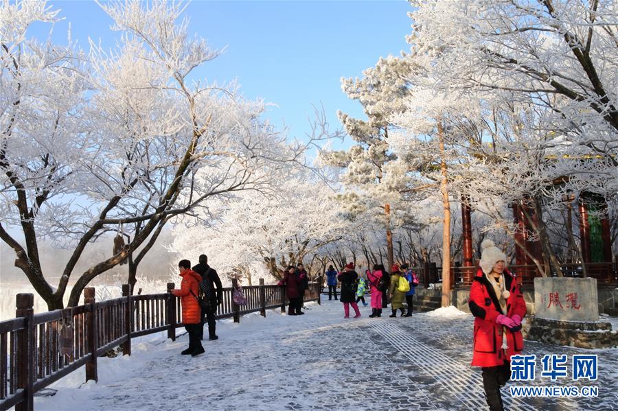 黑龙江牡丹江：镜泊湖现雾凇景观