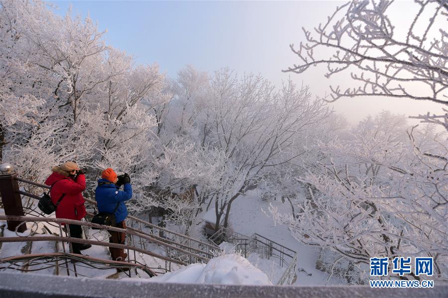 黑龙江牡丹江：镜泊湖现雾凇景观