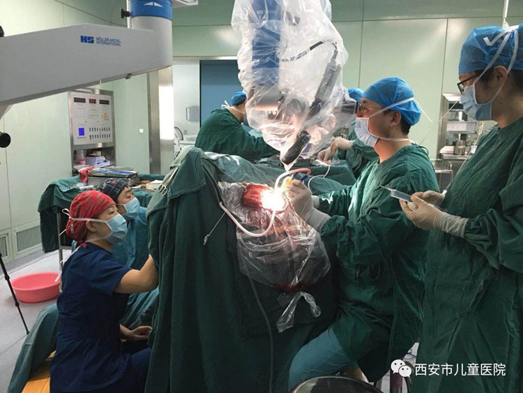 西安市兒童醫院在“中國醫師節”表彰大會上獲多項榮譽